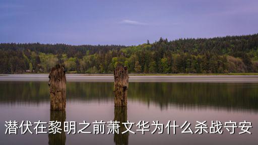 潛伏在黎明之前蕭文華為什么殺戰守安