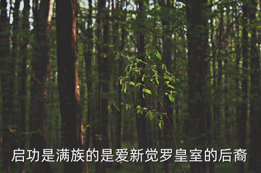 啟功是滿族的是愛(ài)新覺(jué)羅皇室的后裔