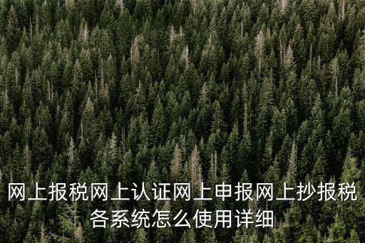 網上報稅網上認證網上申報網上抄報稅各系統怎么使用詳細