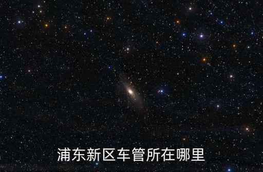浦東新區(qū)車管所在哪里
