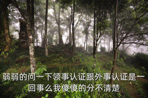 弱弱的問一下領(lǐng)事認(rèn)證跟外事認(rèn)證是一回事么我傻傻的分不清楚
