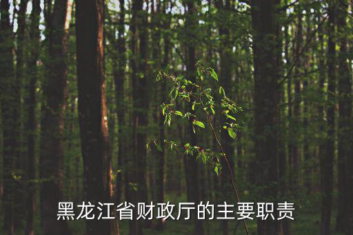 黑龍江省財政局，黑龍江省財政廳的廳屬單位