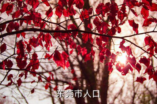 東莞戶籍人口，東莞常住人口及流動人口