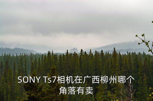 SONY Ts7相機在廣西柳州哪個角落有賣