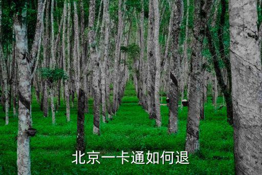 北京一卡通如何退