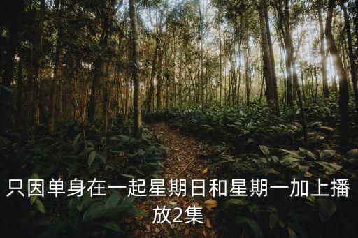 只因單身在一起星期日和星期一加上播放2集