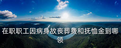 在職職工因病身故喪葬費和撫恤金到哪領(lǐng)