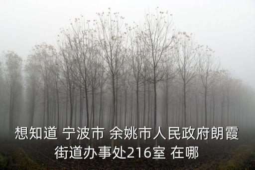 想知道 寧波市 余姚市人民政府朗霞街道辦事處216室 在哪