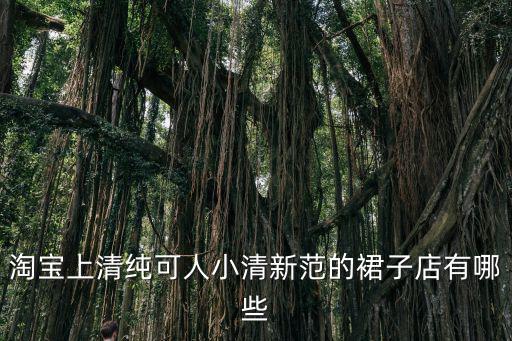 清新范，說一個女人很有范說她有什么范好
