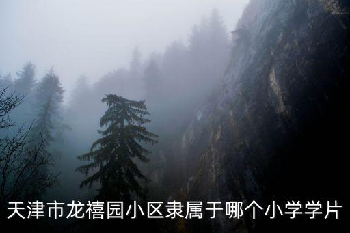 天津市龍禧園小區隸屬于哪個小學學片