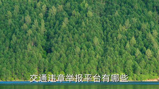 交通違章舉報(bào)平臺(tái)有哪些