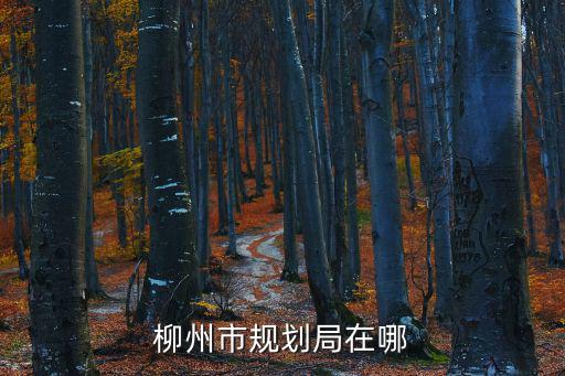 柳州市規劃局在哪