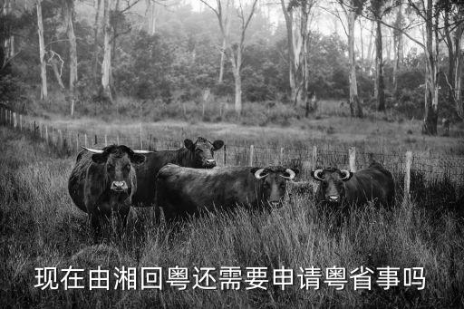 現(xiàn)在由湘回粵還需要申請(qǐng)粵省事嗎