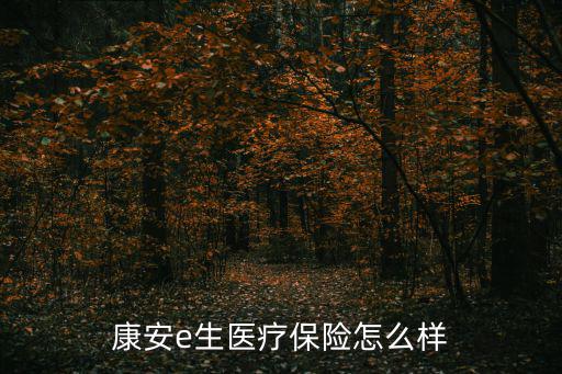 康安，?？诳蛋矊W校是重點學校嗎