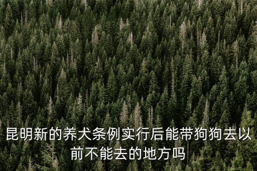 昆明新的養犬條例實行后能帶狗狗去以前不能去的地方嗎