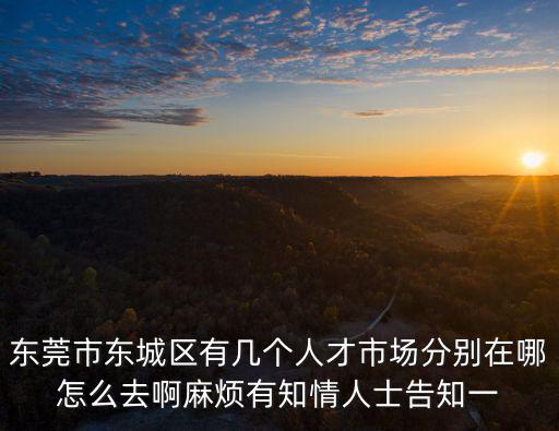 東莞市東城區(qū)有幾個人才市場分別在哪怎么去啊麻煩有知情人士告知一
