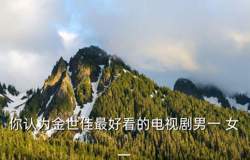 你認(rèn)為金世佳最好看的電視劇男一 女一