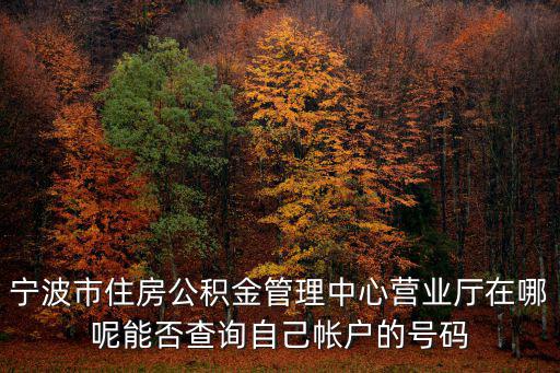 寧波市住房公積金管理中心營業廳在哪呢能否查詢自己帳戶的號碼