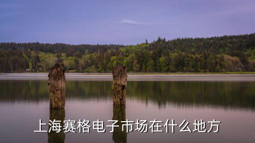 上海賽格電子市場(chǎng)在什么地方