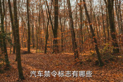 汽車禁令標志有哪些