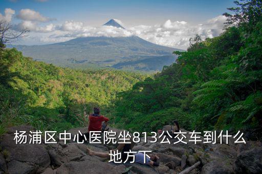 楊浦區(qū)中心醫(yī)院坐813公交車到什么地方下