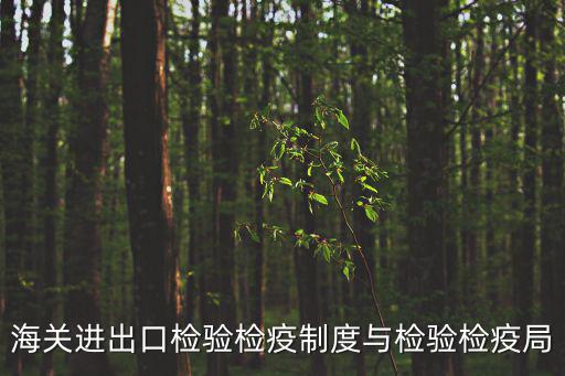 檢驗(yàn)檢疫局官網(wǎng)，海關(guān)進(jìn)出口檢驗(yàn)檢疫制度與檢驗(yàn)檢疫局