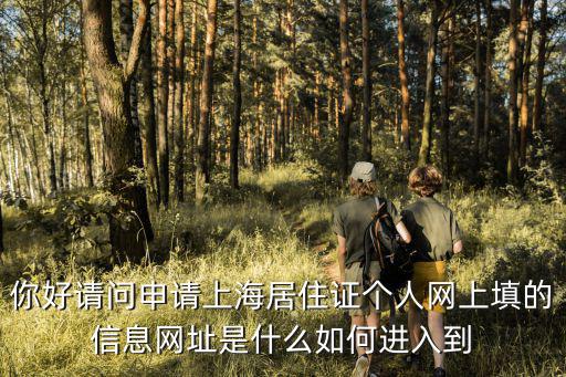 你好請問申請上海居住證個人網上填的信息網址是什么如何進入到