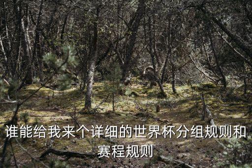 誰能給我來個詳細的世界杯分組規則和賽程規則