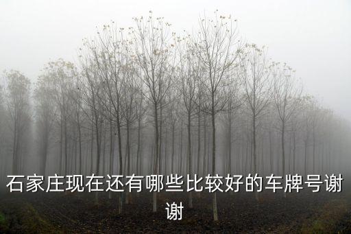 石家莊現在還有哪些比較好的車牌號謝謝