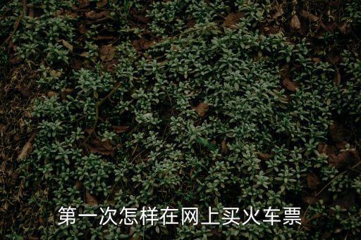 第一次怎樣在網上買火車票