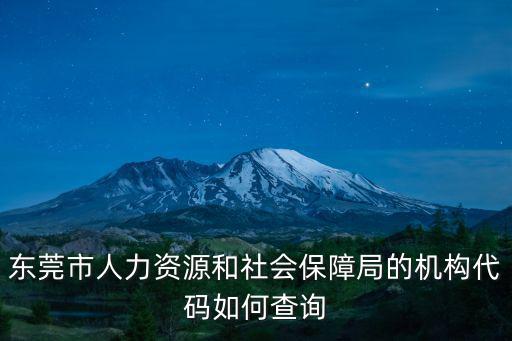東莞市人力資源和社會保障局的機構代碼如何查詢