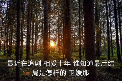 最近在追劇 相愛十年 誰知道最后結(jié)局是怎樣的 衛(wèi)媛那