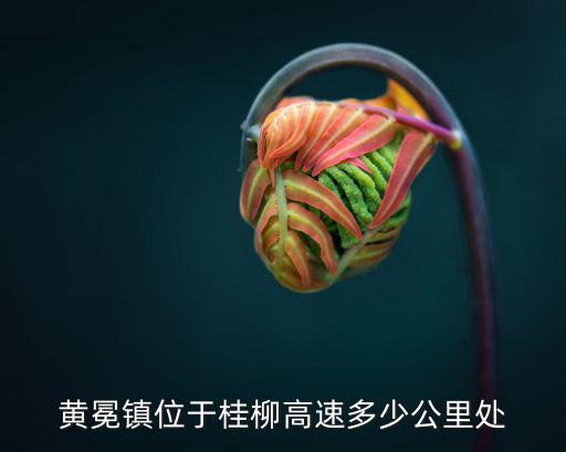 黃冕鎮位于桂柳高速多少公里處