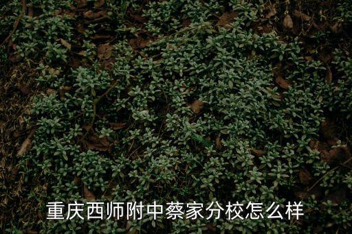 重慶西師附中，重慶西師附中是偏文還是偏理科