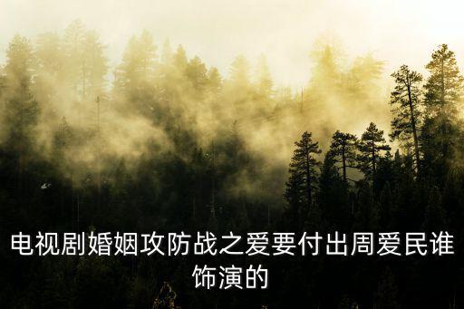 婚姻攻防戰(zhàn)之愛(ài)要付出，電視劇男主角叫張闖的是什么電視劇