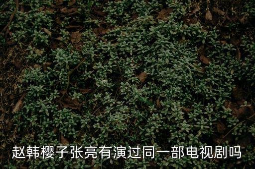 趙韓櫻子張亮有演過同一部電視劇嗎