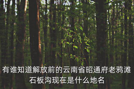 有誰知道解放前的云南省昭通府老鴉灘石板溝現在是什么地名