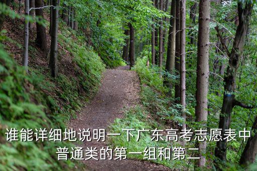 廣東志愿，誰能詳細地說明一下廣東高考志愿表中普通類的第一組和第二