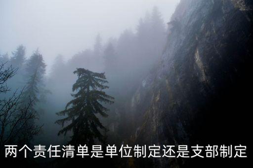 兩個責任清單是單位制定還是支部制定