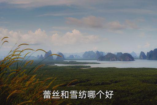 蕾絲和雪紡哪個好
