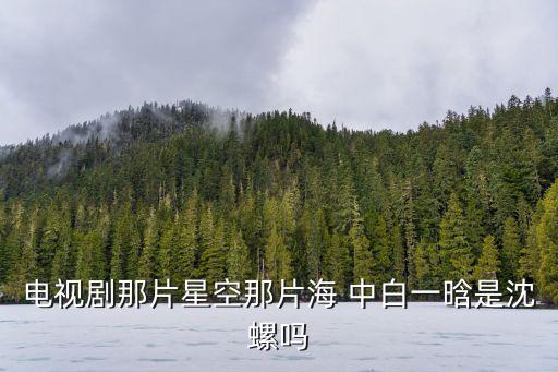 電視劇那片星空那片海 中白一晗是沈螺嗎