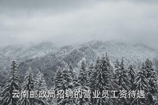 郵局招聘，云南郵政局招聘的營業員工資待遇