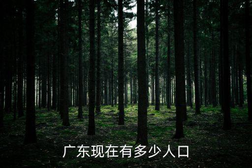 廣東現在有多少人口