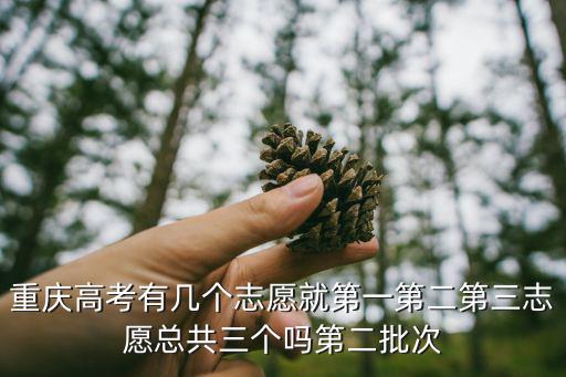 重慶高考志愿，請問2015重慶高考志愿填寫分第一第二志愿嗎平行的志愿最多可有幾