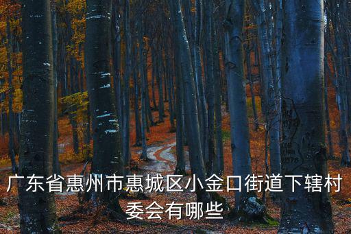 小金口街道，從東莞塘廈收費站這里去惠州小金口九龍村怎么走