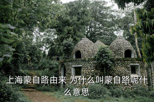 蒙自路，上海市蒙自路的來歷