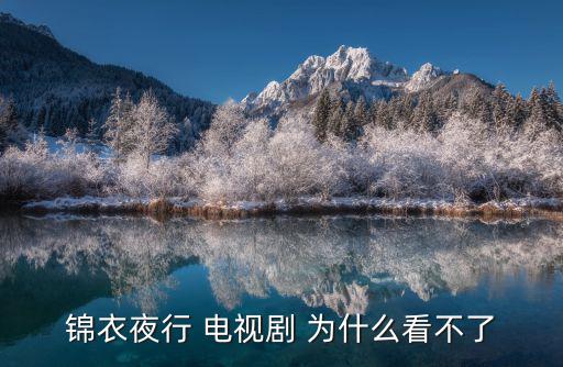 錦衣夜行 電視劇 為什么看不了