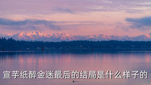 宣芋紙醉金迷最后的結局是什么樣子的