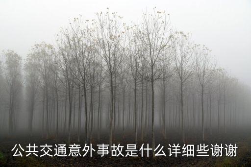 交通意外，公共交通意外事故是什么詳細些謝謝