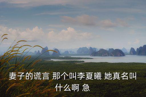 妻子的謊言 那個叫李夏曦 她真名叫什么啊 急